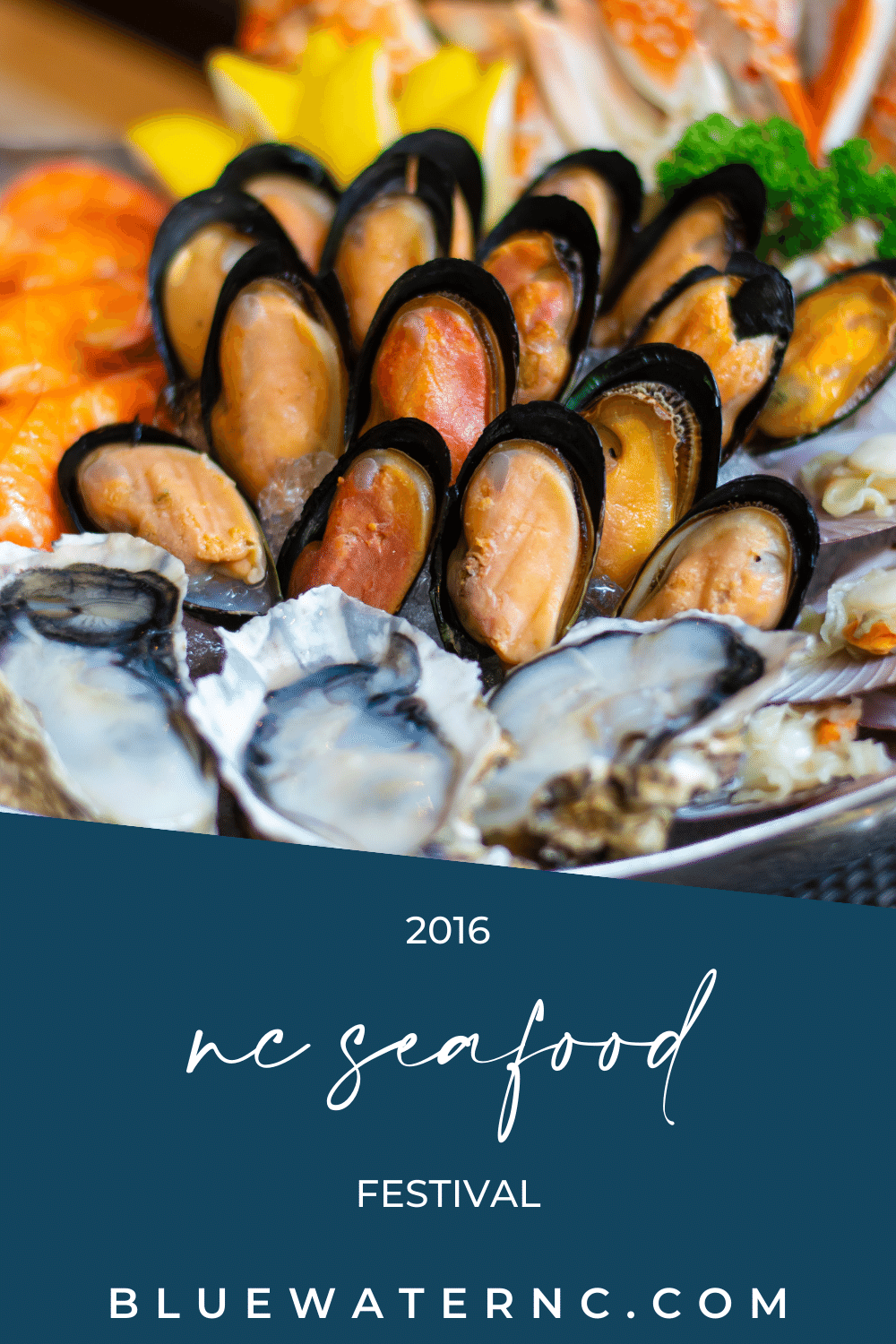 2016 north carolina seafood festival 