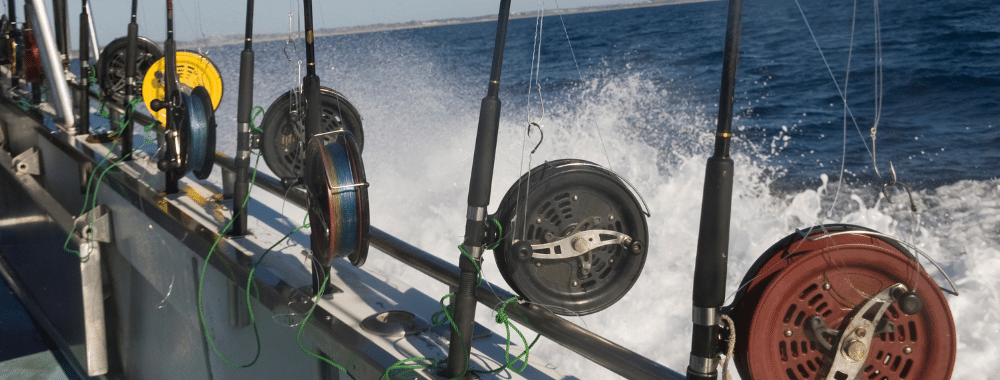 fishing charters, dea sea fishing
