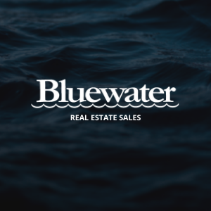 Bluewater Black Button Logo