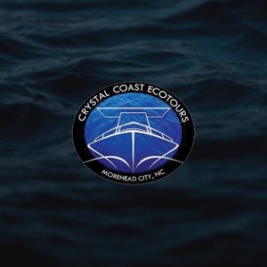 Crystal Coast Eco Tours Logo