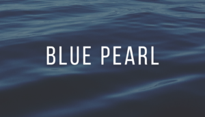 blue pearl