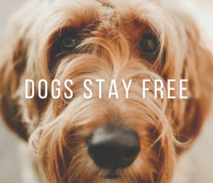dogs stay free
