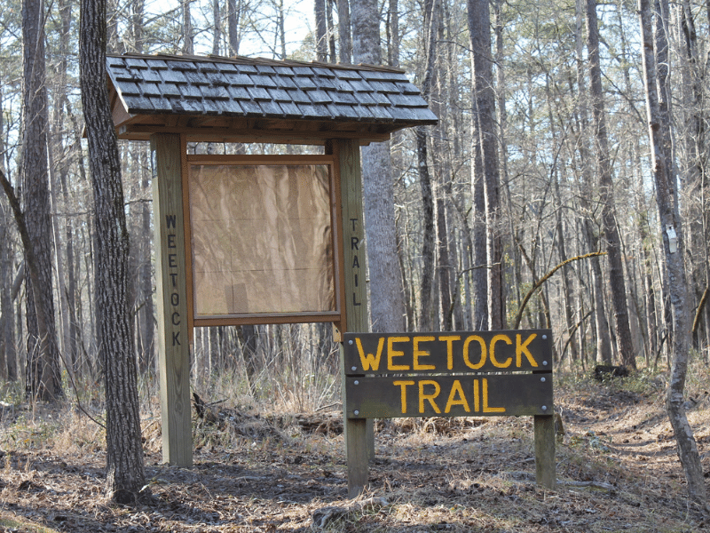 Welcome sign, map and Weetock Trail sign with forest trees in the background