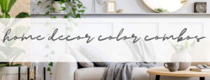 banner image for the home decor color combo post with a neutral living room behind the text