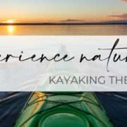 A point-of-view shot of a kayak heading into the Crystal Coast's tranquil waters with the words "Experience Nature: Kayaking the Crystal Coast" in cursive.