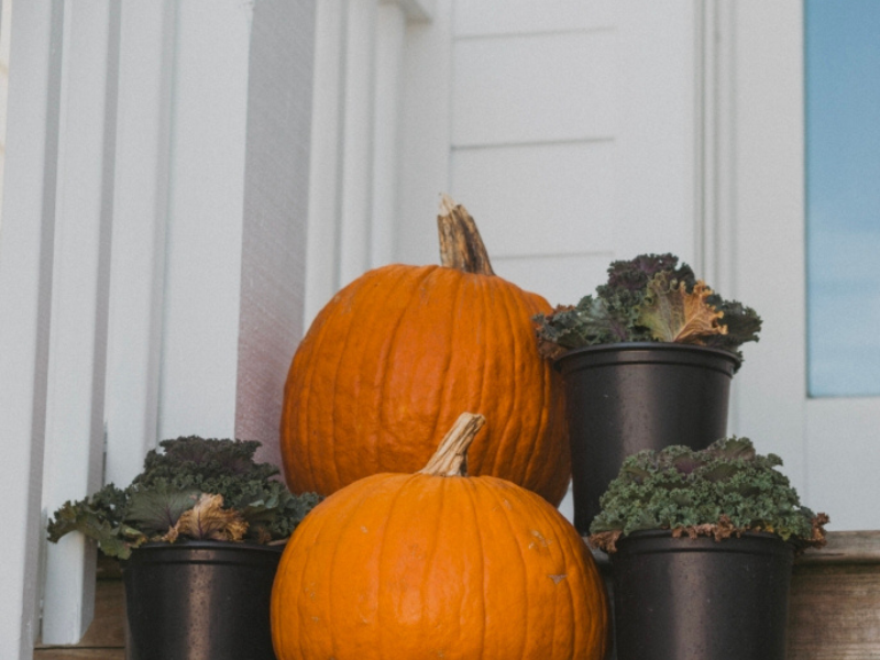 Pumpkins on Front Porch
