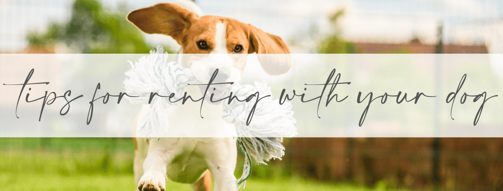 Tips for Renting with Your Dog