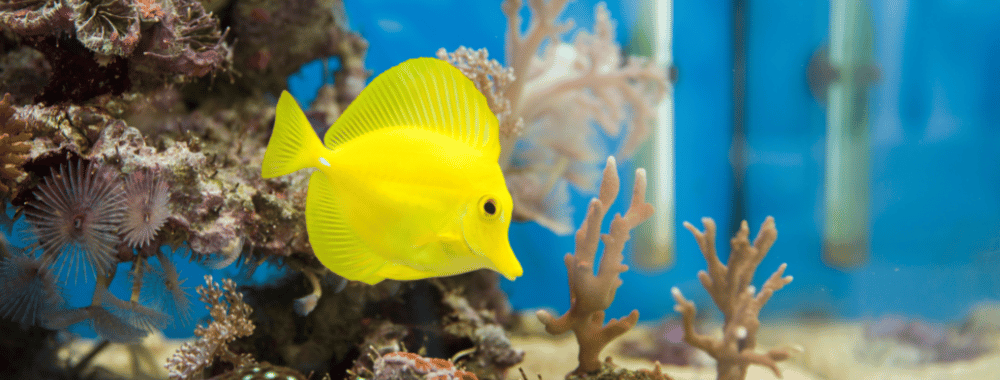 North Carolina Aquarium, 2023 kids events in Crystal Coast