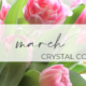 March Crystal Coast Events 2023