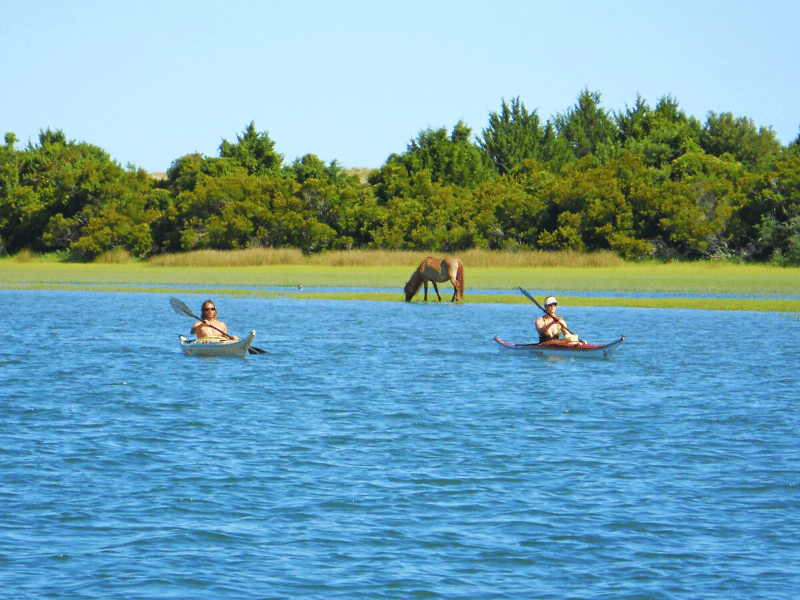 Wild horse on the shore of Beaufort NC with nearby kayakers