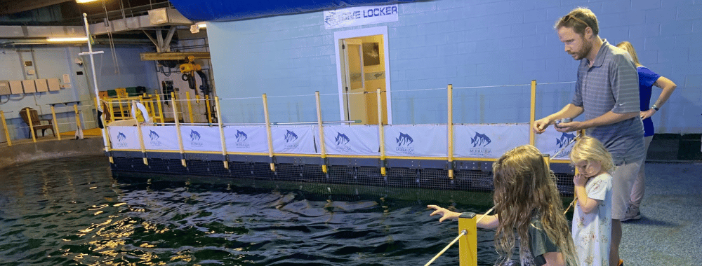 Visit animal holding labs and help feed the fish in the Living Shipwreck