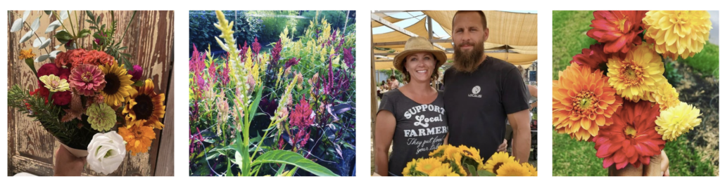 VSA, Vacationer supported agriculture, fresh cut flowers